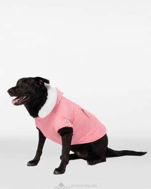 Pet Moose Knuckles Pooch Parka Hombre Blancas | 657932-QDU