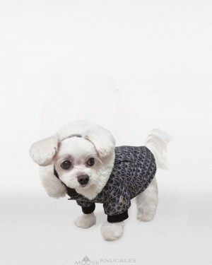 Pet Moose Knuckles Pooch Parka Hombre Monogram / Natural Fur | 973518-HTK