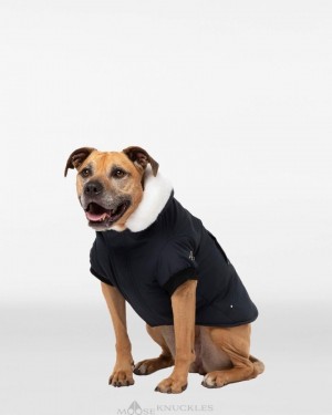 Pet Moose Knuckles Pooch Parka Hombre Rosas Blancas | 485102-XKP