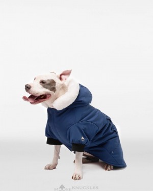 Pet Moose Knuckles Pooch Parka Mujer Azules Blancas | 368510-DWH