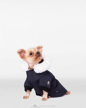 Pet Moose Knuckles Pooch Parka Mujer Azul Marino Blancas | 960358-JDE