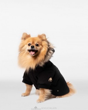 Pet Moose Knuckles Pooch Parka Mujer Negras Doradas | 437908-BPH