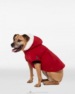 Pet Moose Knuckles Pooch Parka Mujer Rojas Oscuro Blancas | 549237-QFK